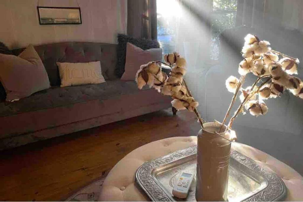 Cottage With Hot Tub And Pool Bandera, Tx. ภายนอก รูปภาพ